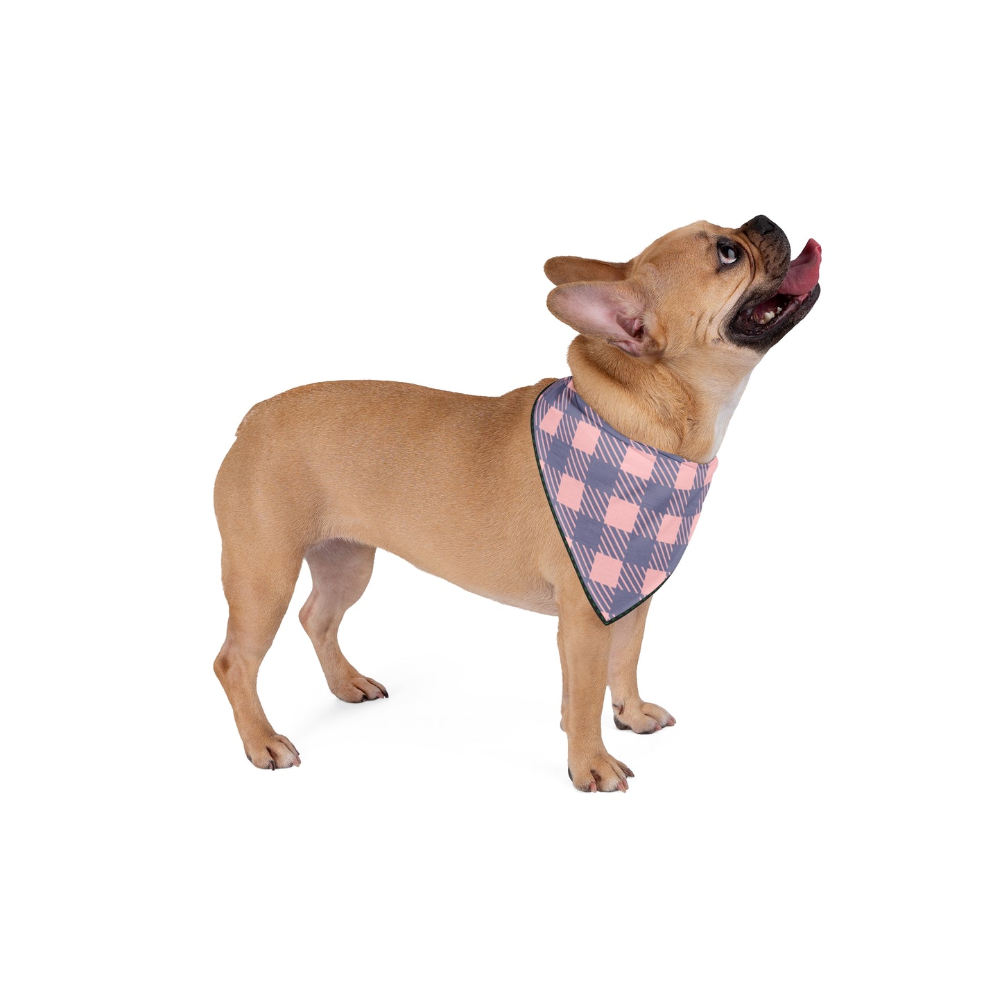 Stylish Pink and Blue Plaid Pet Bandana for Dogs and Cats